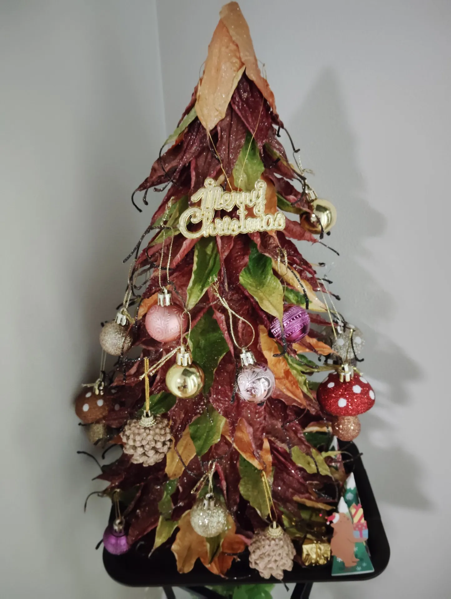 ささやかなプレゼント🎁✨｜札幌市北区麻生レイキヒーリング整体