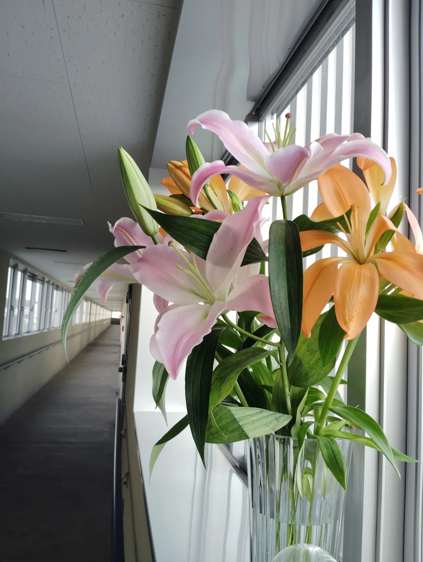百合の香りと、見えない優しさ