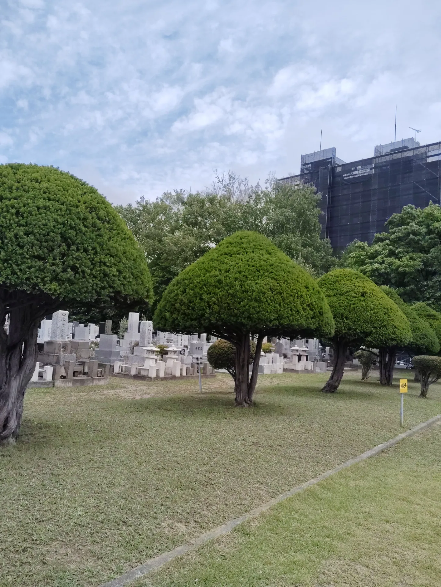 はやめの墓参り🚗🍃