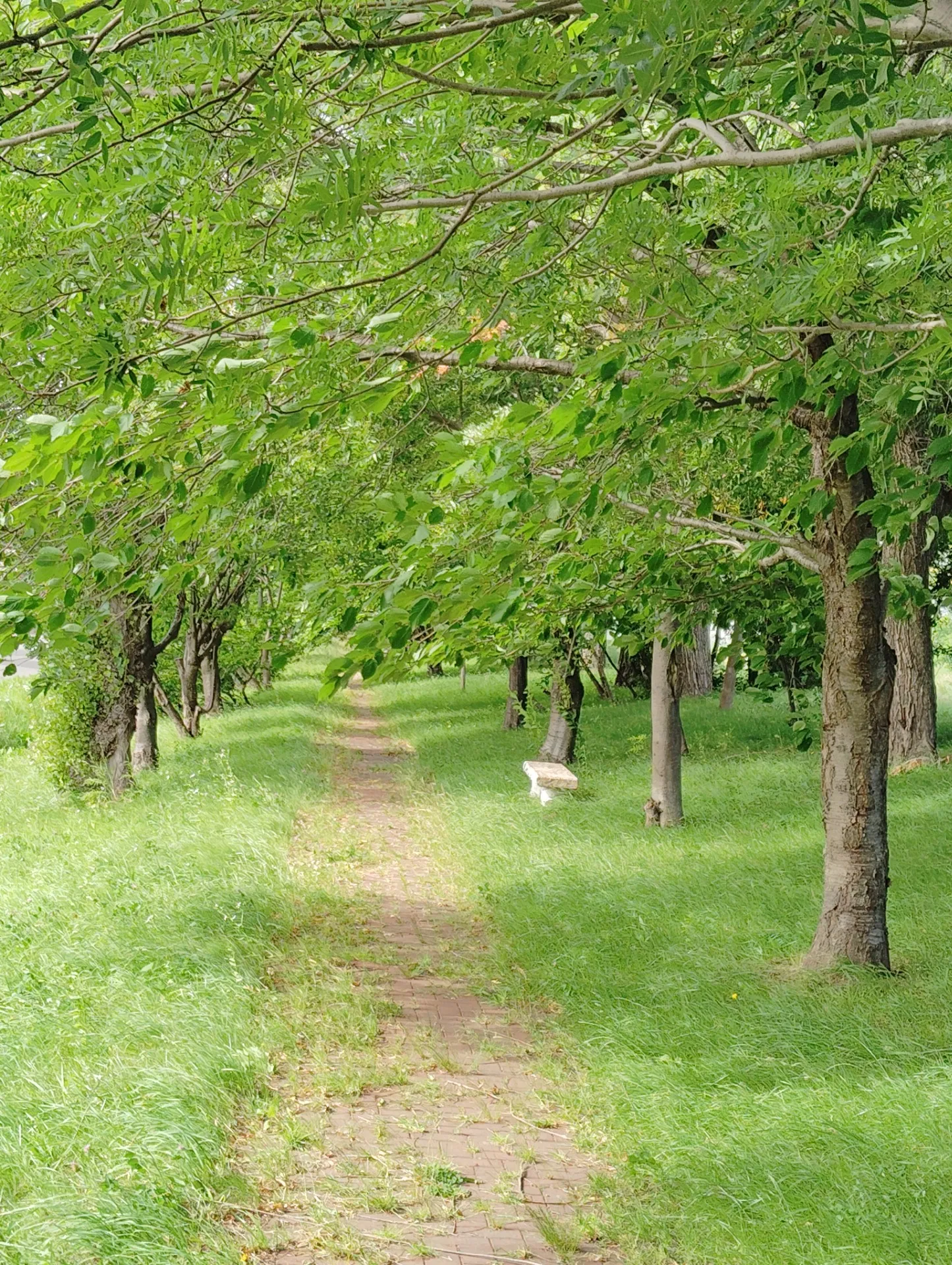 「耐える事が強さ」だとは思わない